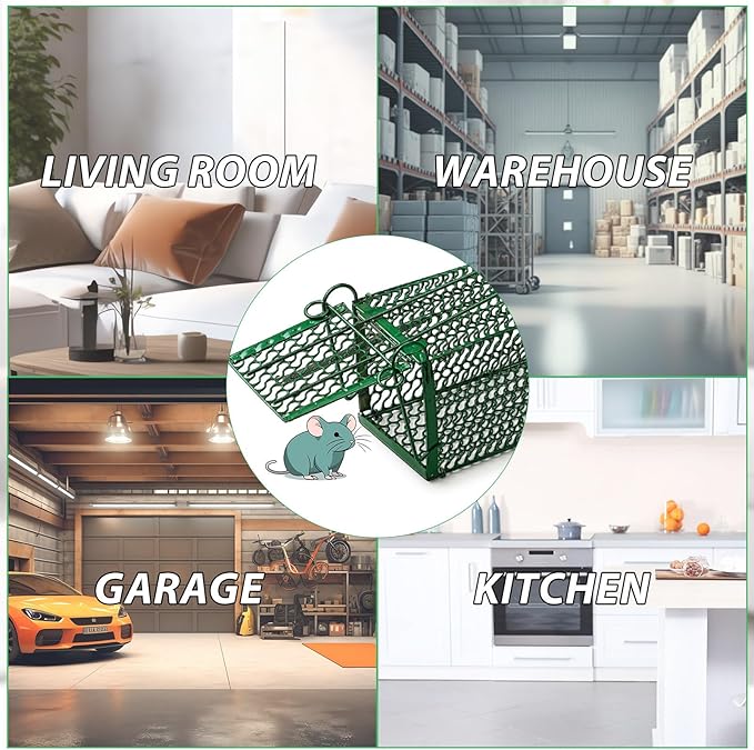 Qualirey 10 Pcs Humane Rat Trap Chipmunk Squirrel Cage Trap Foldable Rodent for Small Live Animal Voles Hamsters Catch and Release for Kitchen Yard Garage Indoors Outdoors (Green)