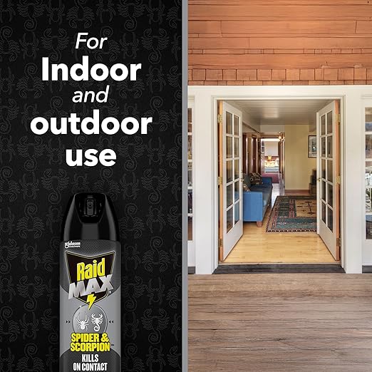 Raid Max Spider and Scorpion Killer, Kills Spiders, Scorpions, Roaches, Ants, Waterbugs, Earwigs, 12 Oz