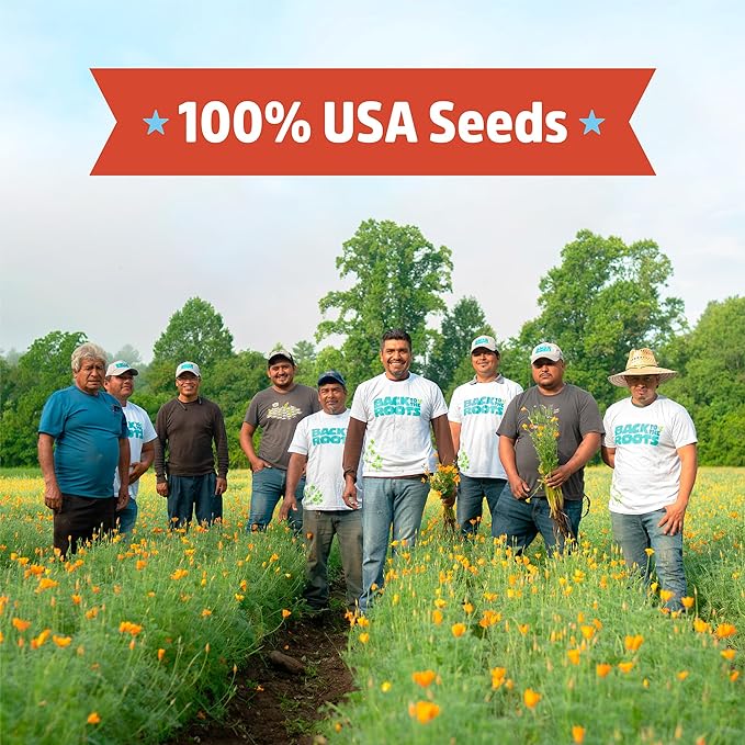 Back to The Roots 100% Organic Heirloom Seeds - Snap Bean Value Pack (16.8g Total)
