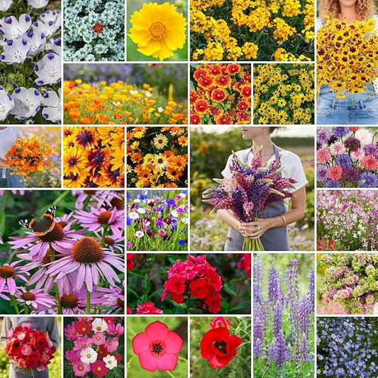 Eden Brothers Southeast Wildflower Mixed Seeds for Planting, 50 lb, 24,000,000+ Seeds with Cornflower, Blanket Flower | Attracts Pollinators, Plant in Spring or Fall, Zones 3, 4, 5, 6, 7, 8, 9, 10