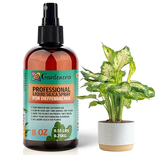 𝐁𝐄𝐒𝐓𝐒𝐄𝐋𝐋𝐄𝐑 Liquid Silica Boost Fertilizer and Supplement Spray for DIEFFENBACHIA Plants - Premium Ready-to-Use Liquid Silicon Plant Superfood Mist for Indoor & Outdoor Dumb Cane Plants - 8oz