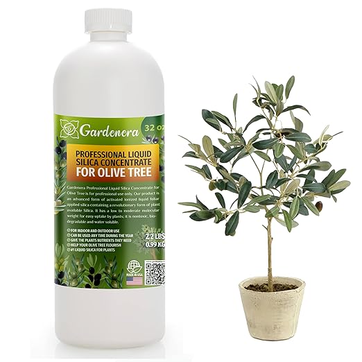 𝐏𝐑𝐎𝐅𝐄𝐒𝐒𝐈𝐎𝐍𝐀𝐋 Liquid Silica Plant Supplement - 32oz - OLIVE TREE Plants Liquid Silica Boost Fertilizer - Stronger Stems & Healthy Leaves for Indoor & Outdoor Olive Trees (Makes 180 Gallons)