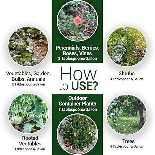 Elm Dirt Fish Emulsion Fertilizer - High Energy Liquid Fertilizer for Plants 2-3-0 | Increase Biological Activity & Improve Nutrients, Vegetable Garden (32 oz)