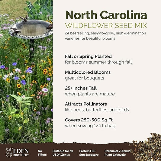 Eden Brothers North Carolina Wildflower Mixed Seeds for Planting, 1/4 lb, 120,000+ Seeds with Cornflower, African Daisy | Attracts Pollinators, Plant in Spring or Fall, Zones 3, 4, 5, 6, 7, 8, 9, 10