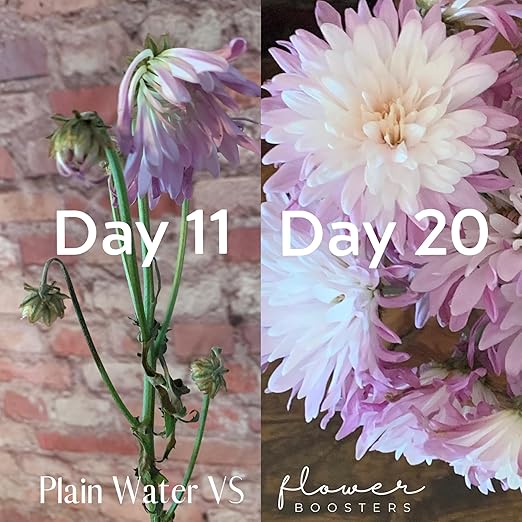 Flower Boosters Fresh Cut Flower Food – Longer-Lasting Blooms & Extended Vase Life – Flowers Last Up to 20 Days – 12.5 oz Value Size