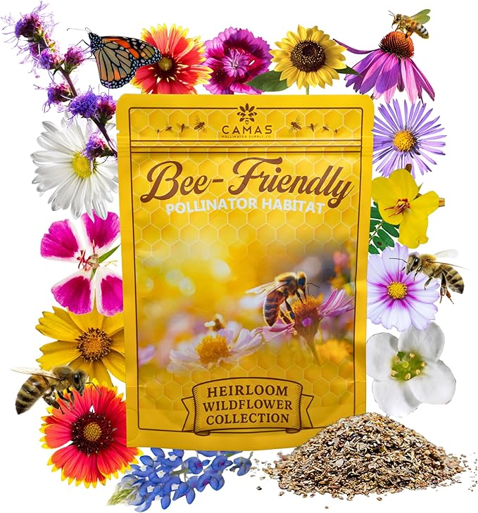 Camas Wildflower Seeds Bulk 1/4 lb – Perennial & Annual Wildflower Seed Mix for Planting Outside, Pure Seed No Fillers, Wild Flower Seeds Throw and Grow for Bees & Pollinators
