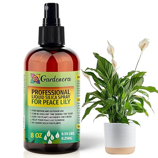 𝐒𝐔𝐏𝐄𝐑𝐈𝐎𝐑 Liquid Silica Boost Fertilizer and Supplement Spray for Peace Lily Plants – Pre-Mixed, Ready-to-Use Liquid Silicon Plant Superfood Mist for Indoor & Outdoor Plants – 8oz