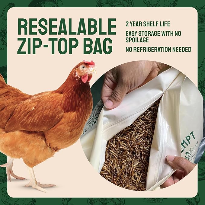 Hatortempt Dried Mealworms - 5 Lb, Non-GMO & Organic - High-Protein Mealworms for Wild Birds & Ducks, Chicken Treats & Bird Food