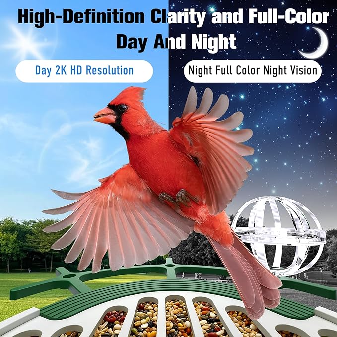 Voxblend Bird Feeder with Camera 3W Solar Powered Panel: Smart Bird Feeder for Outdoors with AI Birds Identify Auto Capture, 2K Live Video, Instant Arrival Alert, Ideal Gift for BirdLovers(Green)