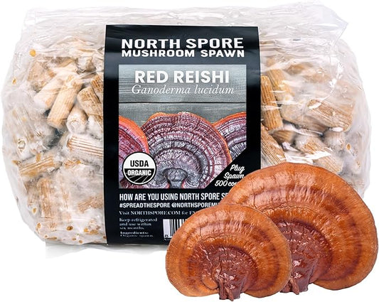 North Spore Organic Reishi (500 ct) Mushroom Plugs for Logs | Premium Quality Mushroom Plug Spawn | Handmade in Maine, USA | Grow Gourmet Mushrooms Outdoors on Logs | Ganoderma lucidum