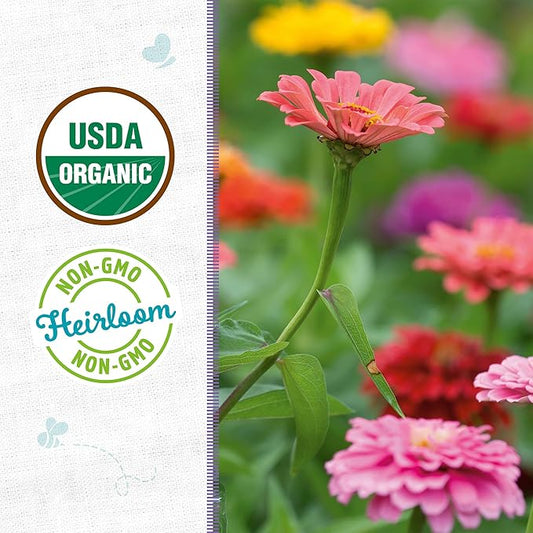 Back to The Roots 100% Organic Heirloom Seeds - Zinnia Pumila Mix Flowers Value Pack (420mg Total)