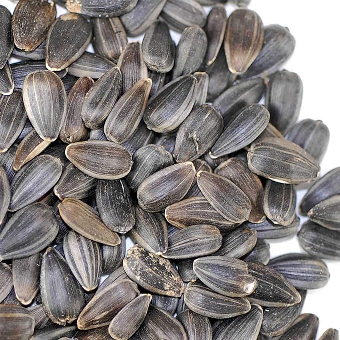 Organic Unshelled Sunflower Seed- 5 Bags Pre-Measured for a 10"x20" Growing Tray (About 2.5 Lbs) - Non-GMO Black Oil Sun Flower Seeds for Sprouts, Microgreens, More