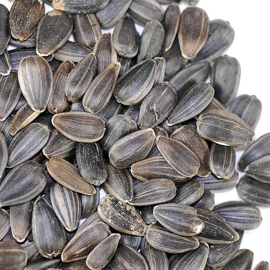 Organic Unshelled Sunflower Seed- 5 Bags Pre-Measured for a 10"x20" Growing Tray (About 2.5 Lbs) - Non-GMO Black Oil Sun Flower Seeds for Sprouts, Microgreens, More