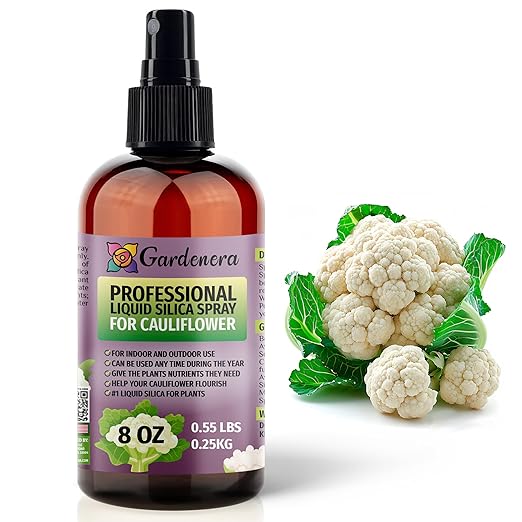 𝐒𝐔𝐏𝐄𝐑𝐈𝐎𝐑 Liquid Silica Boost Fertilizer and Supplement Spray for Cauliflower Plants – Pre-Mixed, Ready-to-Use Liquid Silicon Plant Superfood Mist for Indoor & Outdoor Plants – 8oz