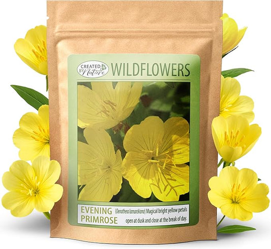 Created By Nature Evening Primrose Seeds, 44,000 Yellow Wildflower Seeds