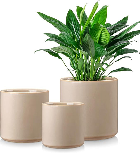 vancasso 6"+8"+10" Ceramic Pot for Plants, Large Outdoor Indoor Planter Pots with Drainage Holes, Set of 3, Grey