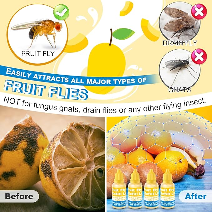 Qualirey Fruit Fly Trap for Indoor and Kitchen Use, 0.68 oz Each Bottle Fruit Fly Trap Refill Liquid, Ready to Use, Safe Near Food, Efficient Lure Refill Liquid, Yellow (20 Pack)