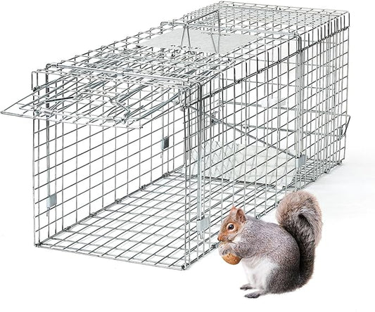 31×12×13 Inch Heavy-Duty Live Animal Cage Trap - Humane Catch & Release for Raccoons, Cats, Squirrels, Rabbits, Groundhogs - Safe & Durable Steel Construction with Secure Door Lock