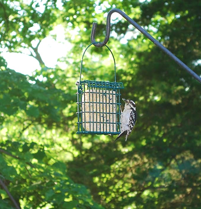 Wildlife Sciences High Energy Suet Cake 10 Pack