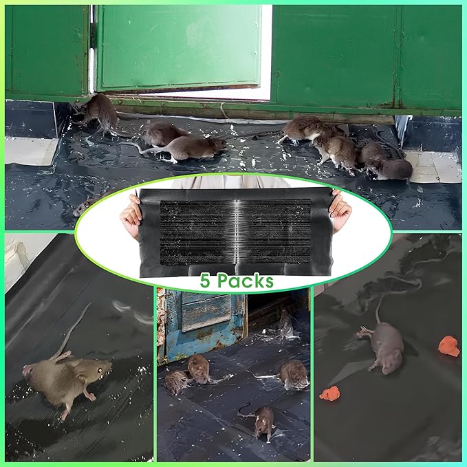 Qualirey 5 Pack 24 x 11'' Mouse Glue Traps, Anti Slip Rat Snake Rodent Sticky Pads Pet Friendly, Peanut Scented Mice Glue Board That Work for Home Indoor Outdoor Restaurant Kitchen Hotel Office