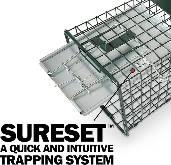Humane Way Sentinel 32 Inch Live Animal Trap - No Assembly Required - Safe Medium Traps for All Animals - Raccoons, Cats, Groundhogs, Opossums - 32" L x 10.5" W x 12.5" H