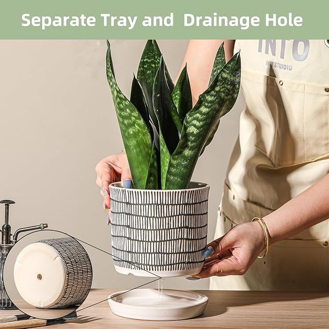 5.8 Inch Plant Pot: Ceramic Planter with Drainage Hole & Saucer - Cylinder Flowerpot for Indoor & Outdoor Plants - with Separate Tray for Home & Office - Striped Design