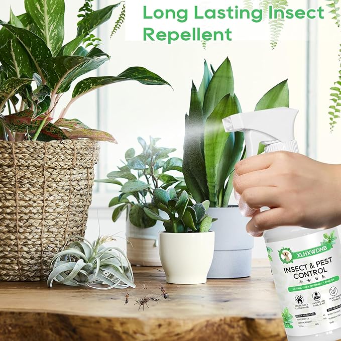 16/32oz Peppermint Spray to Repel Bugs & Insects - Natural Plant-Based Ant, Roach, Spider, Fly Repellent - Indoor/Outdoor Safe, Pet & Family Friendly Pest Control (32 Fl Oz)