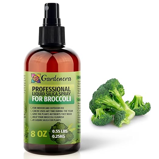 𝐒𝐔𝐏𝐄𝐑𝐈𝐎𝐑 Liquid Silica Boost Fertilizer and Supplement Spray for Broccoli Plants – Pre-Mixed, Ready-to-Use Liquid Silicon Plant Superfood Mist for Indoor & Outdoor Plants – 8oz