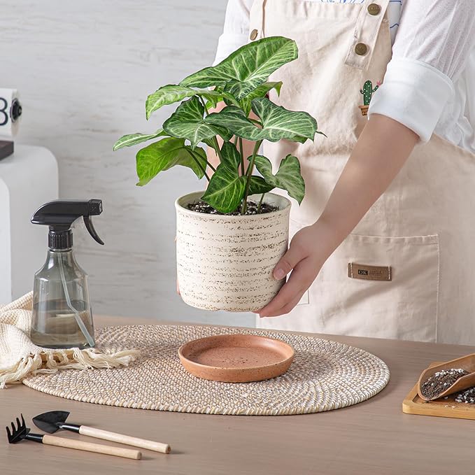 6 Inch Plant Pot: Ceramic Planter with Drainage Hole & Saucer - Flowerpot for Indoor & Outdoor Plants with Separate Tray for Home & Office - Brush Color