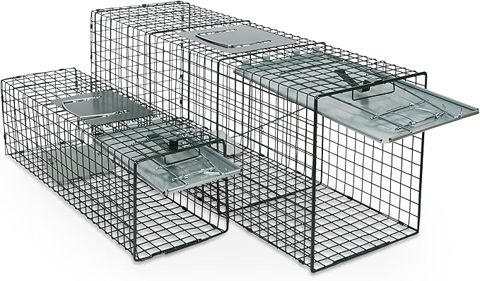 Humane Way Sentinel 32 Inch + 24 Inch Live Animal Trap Combo Pack - No Assembly Required - Raccoons, Cats, Groundhogs, Opossums, Rabbits, Squirrels