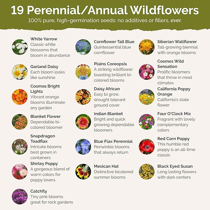 Eden Brothers Utah Wildflower Mixed Seeds for Planting, 1 oz, 30,000+ Seeds with Snapdragon, Yarrow | Attracts Pollinators, Plant in Spring or Fall, Zones