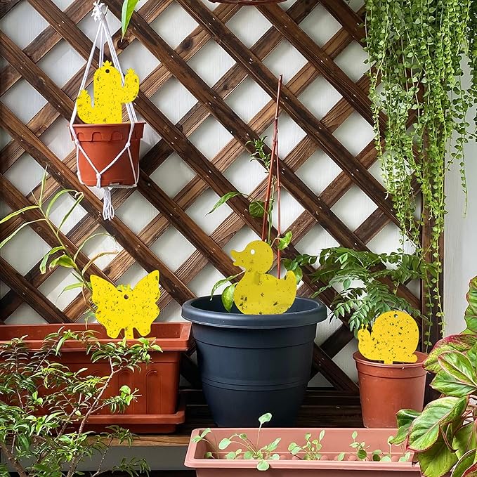 Gideal 48-Pack Dual-Sided Yellow Sticky Traps for Indoor/Outdoor Use, Gnat Trap for Flying Plant Insect Such as Fungus Gnats, Whiteflies, Aphids, Fruit Fly, Leafminers, etc - Cute Shapes