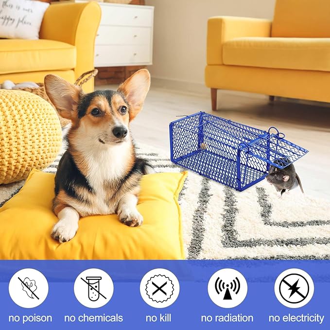 Qualirey 4 Pcs Humane Rat Trap Chipmunk Squirrel Cage Trap Foldable Rodent for Small Live Animal Voles Hamsters Catch and Release for Kitchen Yard Garage Indoors Outdoors (Blue)