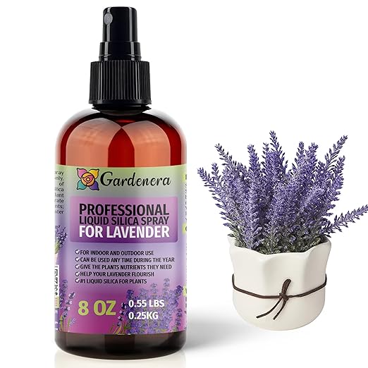 𝐒𝐔𝐏𝐄𝐑𝐈𝐎𝐑 Liquid Silica Boost Fertilizer and Supplement Spray for Lavender Plants – Pre-Mixed, Ready-to-Use Liquid Silicon Plant Superfood Mist for Indoor & Outdoor Plants – 8oz