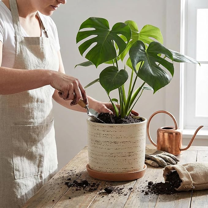 8 Inch Plant Pot: Ceramic Planter with Drainage Hole & Saucer - Flowerpot for Indoor & Outdoor Plants with Separate Tray for Home & Office - Brush Color