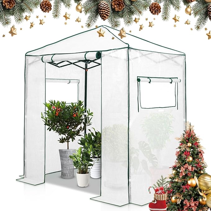 EAGLE PEAK Instant Pop-up Greenhouse, Indoor Outdoor Plant Gardening Green House, Roll-Up Zipper Doors and Side Windows, Walk in 6x4 ft, PE Cover, White/Clear