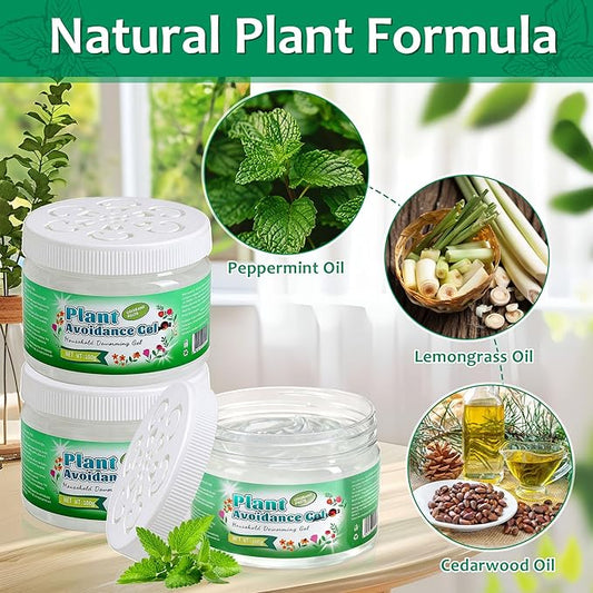 Peppermint Oil Pest Repellent, 6 Pack Natural Spider Repellent with Plant-Based Ingredients, Outdoor Indoor Pest Control for Roaches, Ants, Bugs, Spider for House Garage, Human Pet Dog Plant Safe