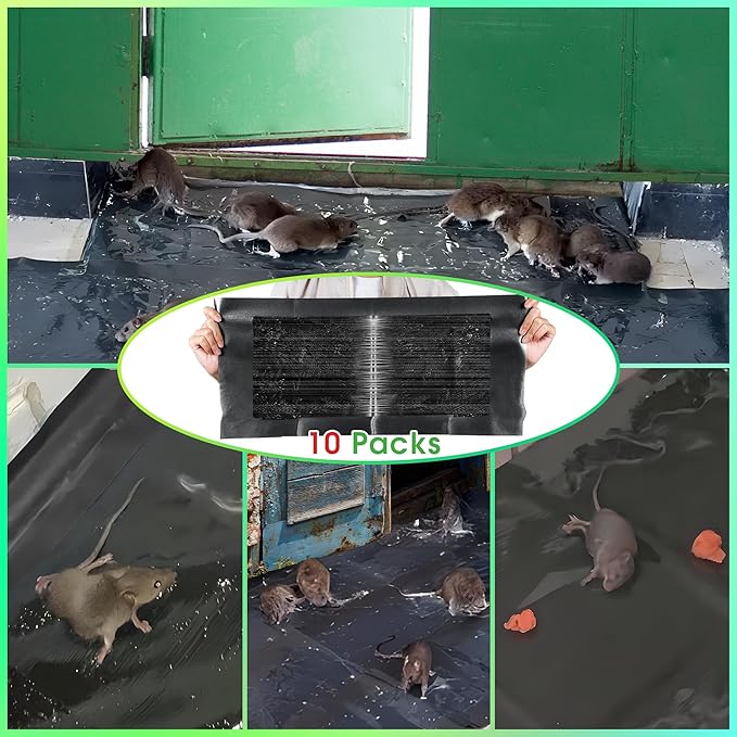 Qualirey 10 Pack 24 x 11'' Mouse Glue Traps, Anti Slip Rat Snake Rodent Sticky Pads Pet Friendly, Peanut Scented Mice Glue Board That Work for Home Indoor Outdoor Restaurant Kitchen Hotel Office