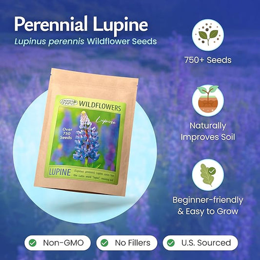 Created by Nature Blue Lupine Seeds, 750 Perennial Wildflower Seeds