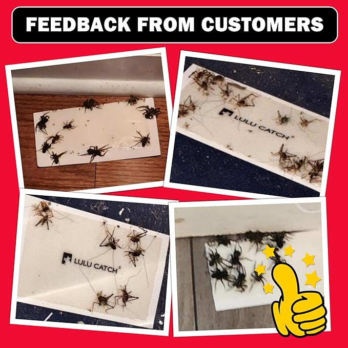 LULUCATCH Mouse Traps Indoor for Home, 12 Pack Pre-Baited Sticky Mouse Traps, Non-Toxic Bulk Sticky Tray, Adhesive Glue Boards for Rats, Bugs, Spiders, Mice, Cockroaches, Pet Safe Pest Control