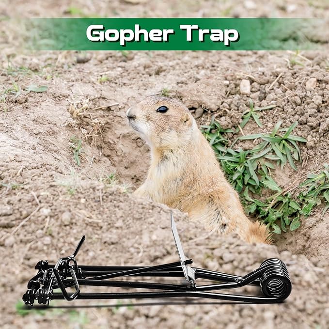 Qualirey 2 Pcs Outdoor Gopher Trap Easy Set Mole Trap Weather Resistant Gopher Killer Vole Killer for Lawn Garden Farm (Black)