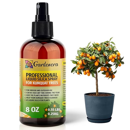 𝐁𝐄𝐒𝐓𝐒𝐄𝐋𝐋𝐄𝐑 Liquid Silica Boost Fertilizer and Supplement Spray for Kumquat Plants - Premium Ready-to-Use Liquid Silicon Plant Superfood Mist for Indoor & Outdoor Citrus Plants - 8oz