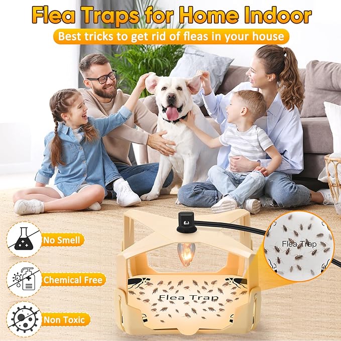 Flea Trap for Inside Your Home - 6 Bulbs & 8 Sticky Glue Boards for Bed Bug Control, Flying Insects Killer, Trap Pest Control for Bugs Gnats Moths Indoor and Outdoor（Off-White）