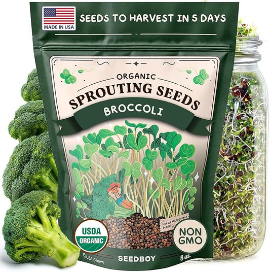 Seedboy Organic Non-GMO Broccoli Seeds for Sprouting - USA Grown Microgreens Sprouting Seeds - 8 oz Bag Makes 8 Quarts / 24 Servings (Di Cicco Broccoli)