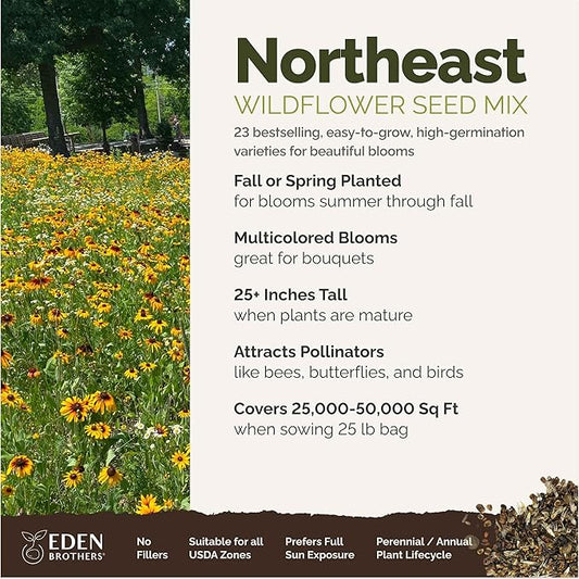 Eden Brothers Northeast Wildflower Mixed Seeds for Planting, 25 lb, 12,000,000+ Seeds with Cosmos, Candytuft, Shasta Daisy, Attracts Pollinators, Plant in Spring or Fall, Zones 3, 4, 5, 6, 7, 8, 9, 10