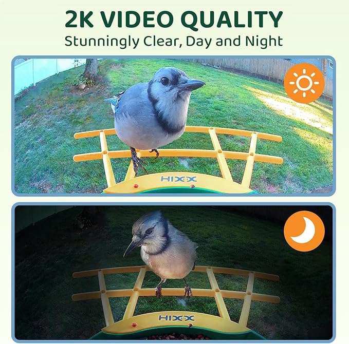 HIXX Smart Bird Feeder with Camera, AI Identify Birds & Auto Capture, 2K HD Live Camera Birdwatching with Color Night Vision for Bird Lovers Gifts (Green)