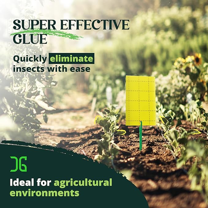 Catchmaster GRO Yellow Regular Double Sided Sticky Traps 36PK, Adhesive Bug & Fruit Fly Trap, Pest Control for Home, Farm, Garden, Hydroponics & Greenhouse, Protect Live Plants Indoor & Outdoor