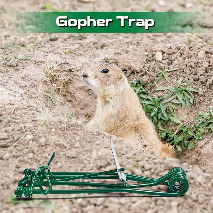 Qualirey 2 Pcs Outdoor Gopher Trap Easy Set Mole Trap Weather Resistant Gopher Killer Vole Killer for Lawn Garden Farm (Green)