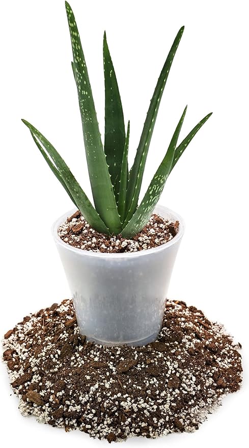 GARDENERA Premium Aloe Vera Potting Soil Mix - (4 Quart Bag)