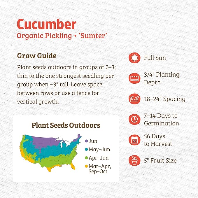 Back to The Roots 100% Organic Heirloom Seeds - Pickling Cucumber Seeds for Planting Value Pack (3g Total)
